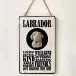 Labrador 3D Head Typography Plaque (limited edition)