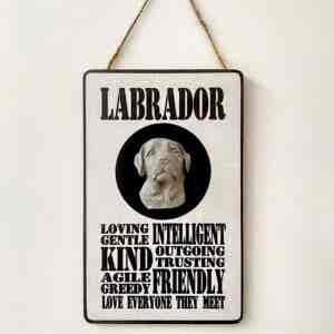 Labrador 3D Head Typography Plaque (limited edition)