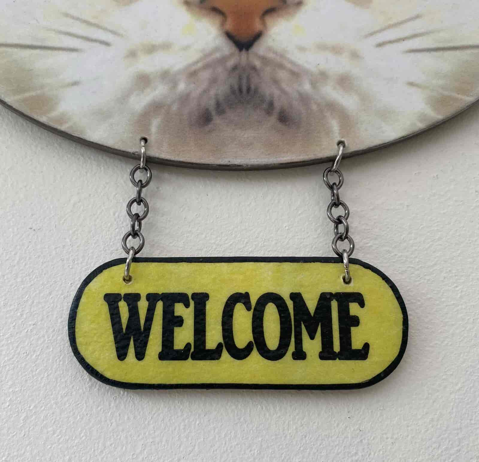 Cat Face Welcome plaque - White Cat - Image 7