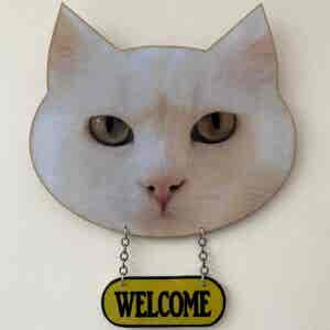 Cat Face Welcome plaque - White Cat