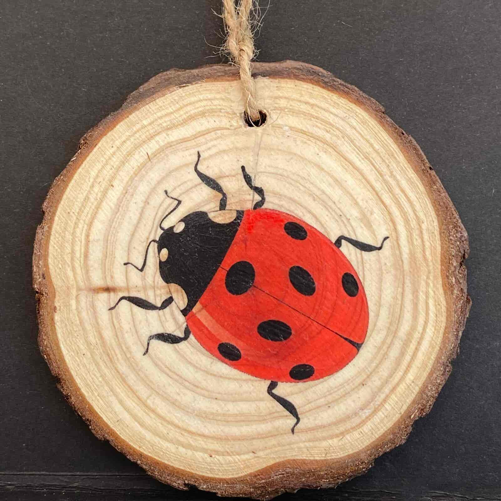 Ladybird hanging Wood Slice - Image 3