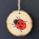 Ladybird hanging Wood Slice