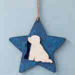 Bichon (on a mottled blue star) Plaque