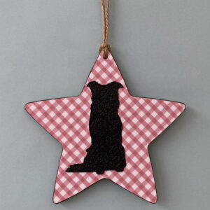 Border Collie (on pink & white chequered star) Plaque