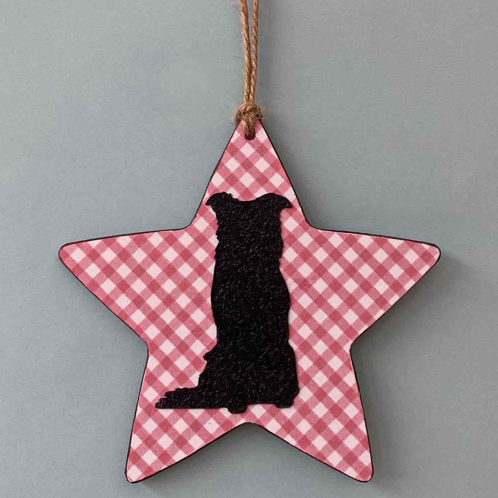 Border Collie (on pink & white chequered star) Plaque