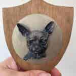 3D Dog Head on Wooden Shield - Chihuahua