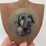3D Dog Head on Wooden Shield - Labrador