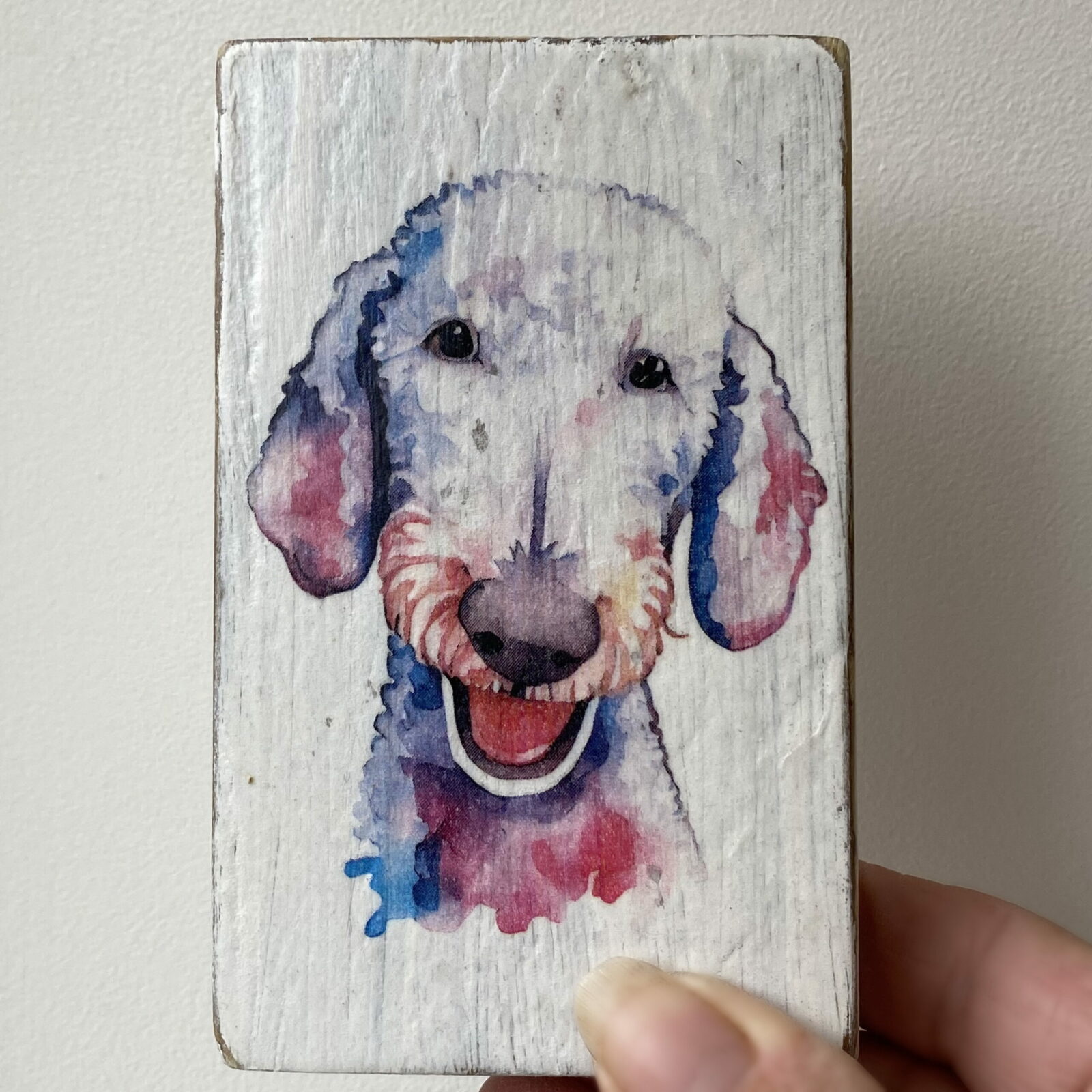 Water Colour Paint Effect Plaque - Dog Breeds - Bedlington Terrier - Image 5