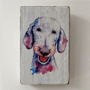 Water Colour Paint Effect Plaque - Dog Breeds - Bedlington Terrier