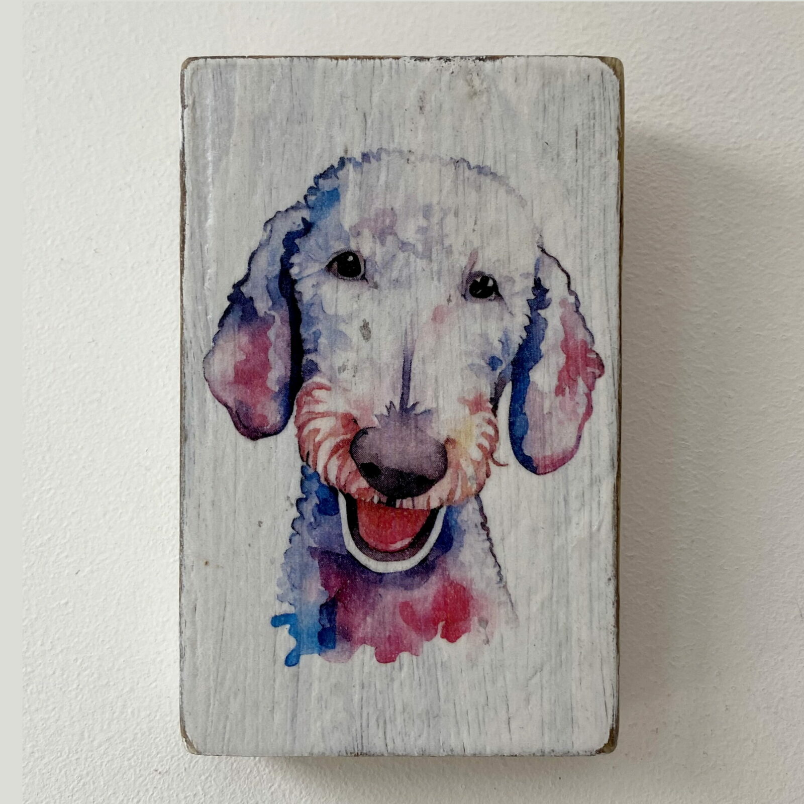 Water Colour Paint Effect Plaque - Dog Breeds - Bedlington Terrier