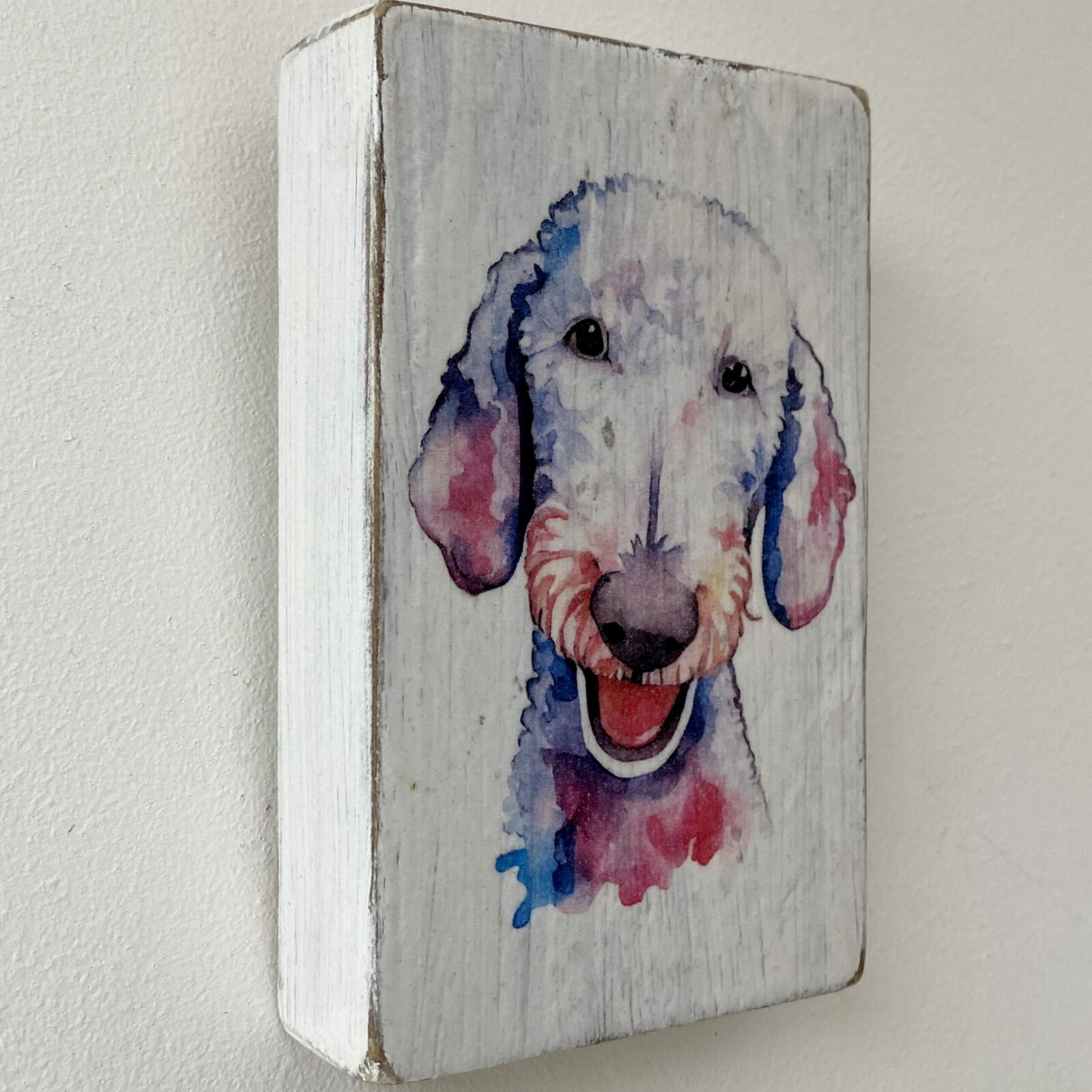 Water Colour Paint Effect Plaque - Dog Breeds - Bedlington Terrier - Image 4