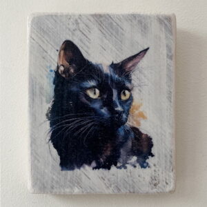 Water Colour Paint Effect Plaque - Black Cat