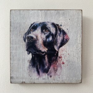 Water Colour Paint Effect Plaque - Dog Breeds - Labrador