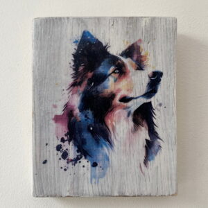 Water Colour Paint Effect Plaque - Dog Breeds - Border Collie 2
