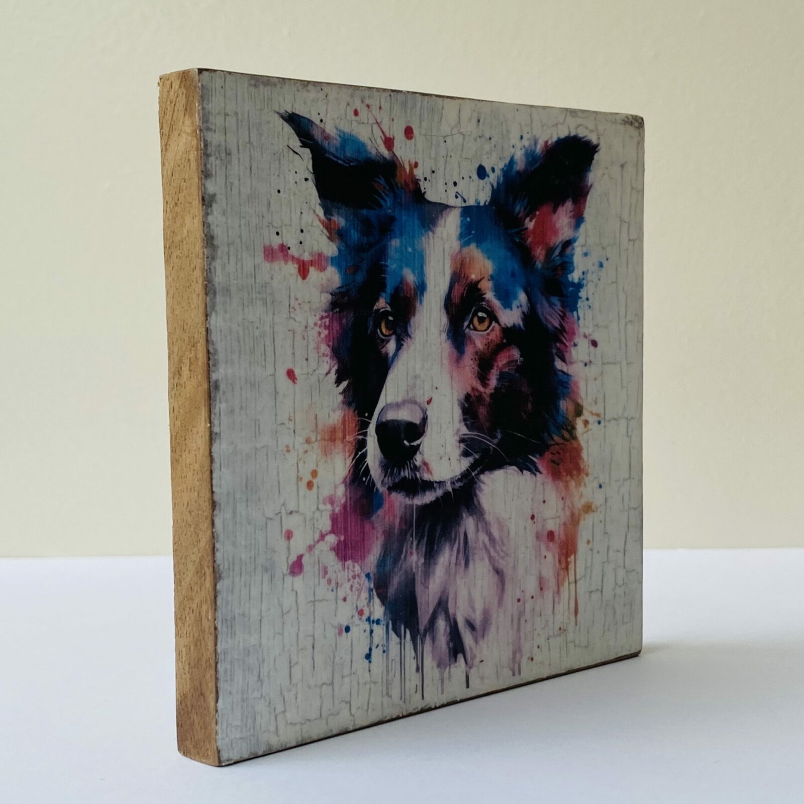 Water Colour Paint Effect Plaque - Dog Breeds - Border Collie - Image 2