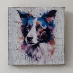 Water Colour Paint Effect Plaque - Dog Breeds - Border Collie