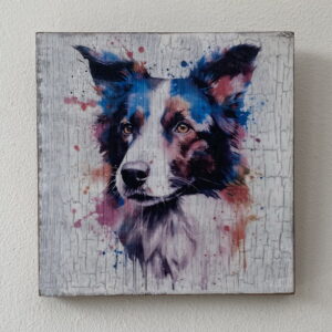 Water Colour Paint Effect Plaque - Dog Breeds - Border Collie
