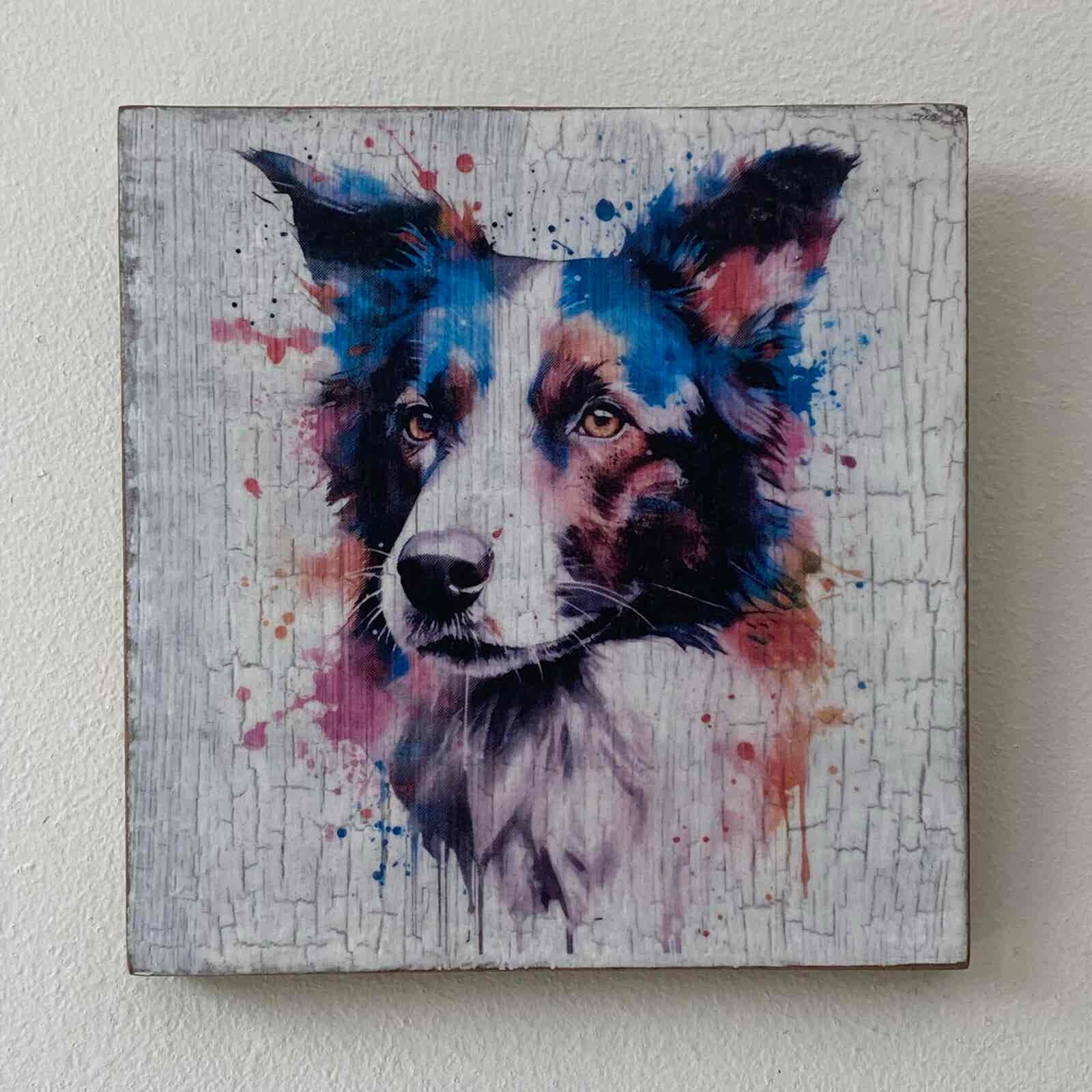 Water Colour Paint Effect Plaque - Dog Breeds - Border Collie