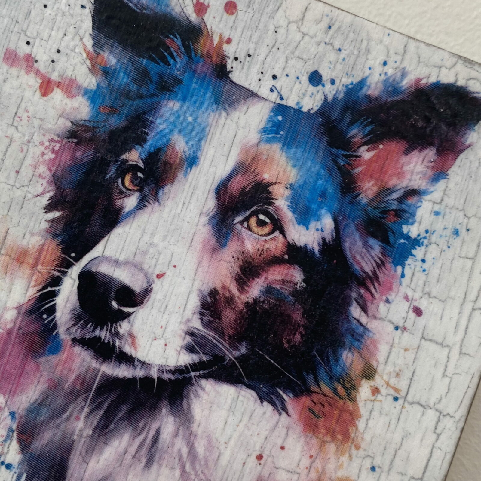 Water Colour Paint Effect Plaque - Dog Breeds - Border Collie - Image 5