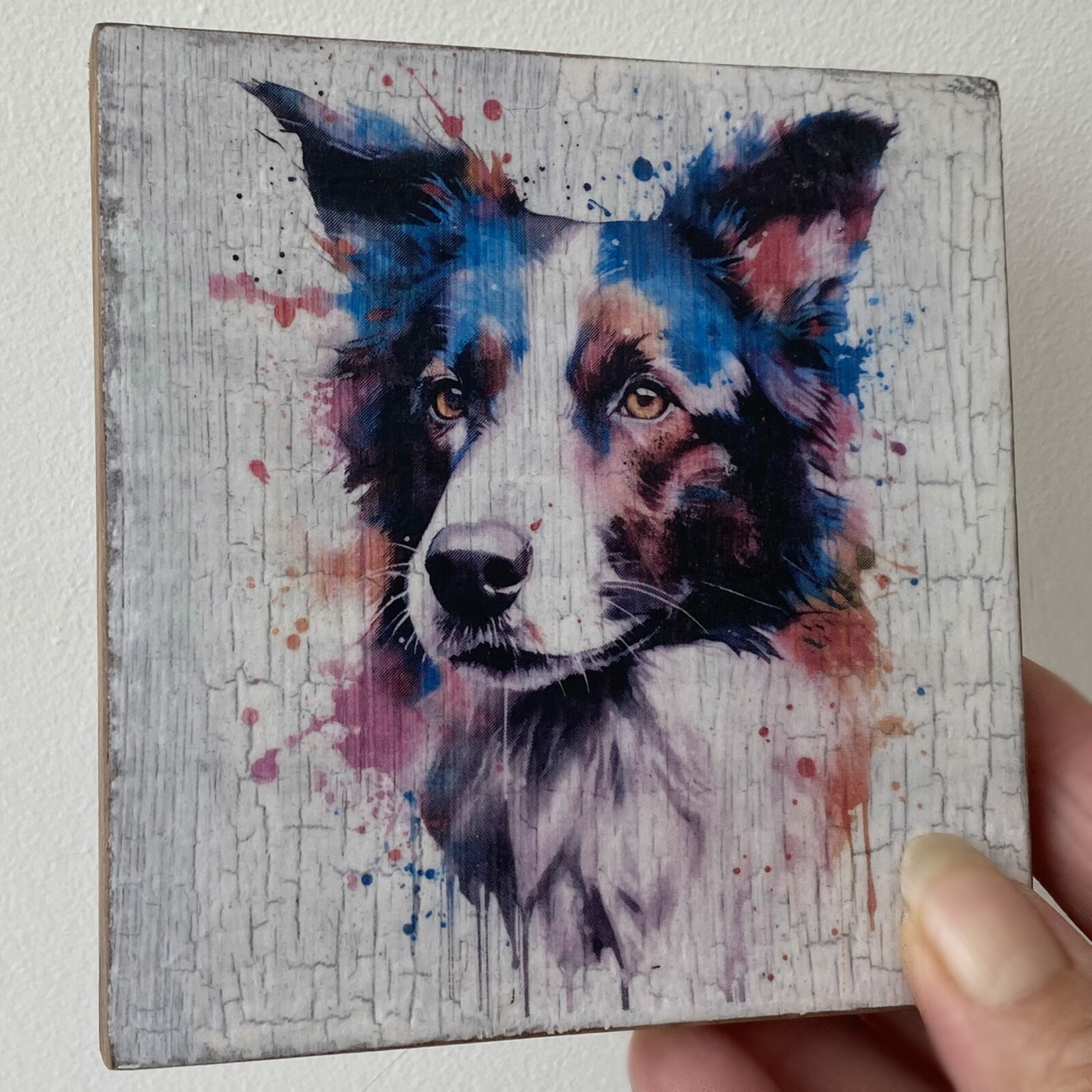Water Colour Paint Effect Plaque - Dog Breeds - Border Collie - Image 4