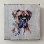 Water Colour Paint Effect Plaque - Dog Breeds - Boxer
