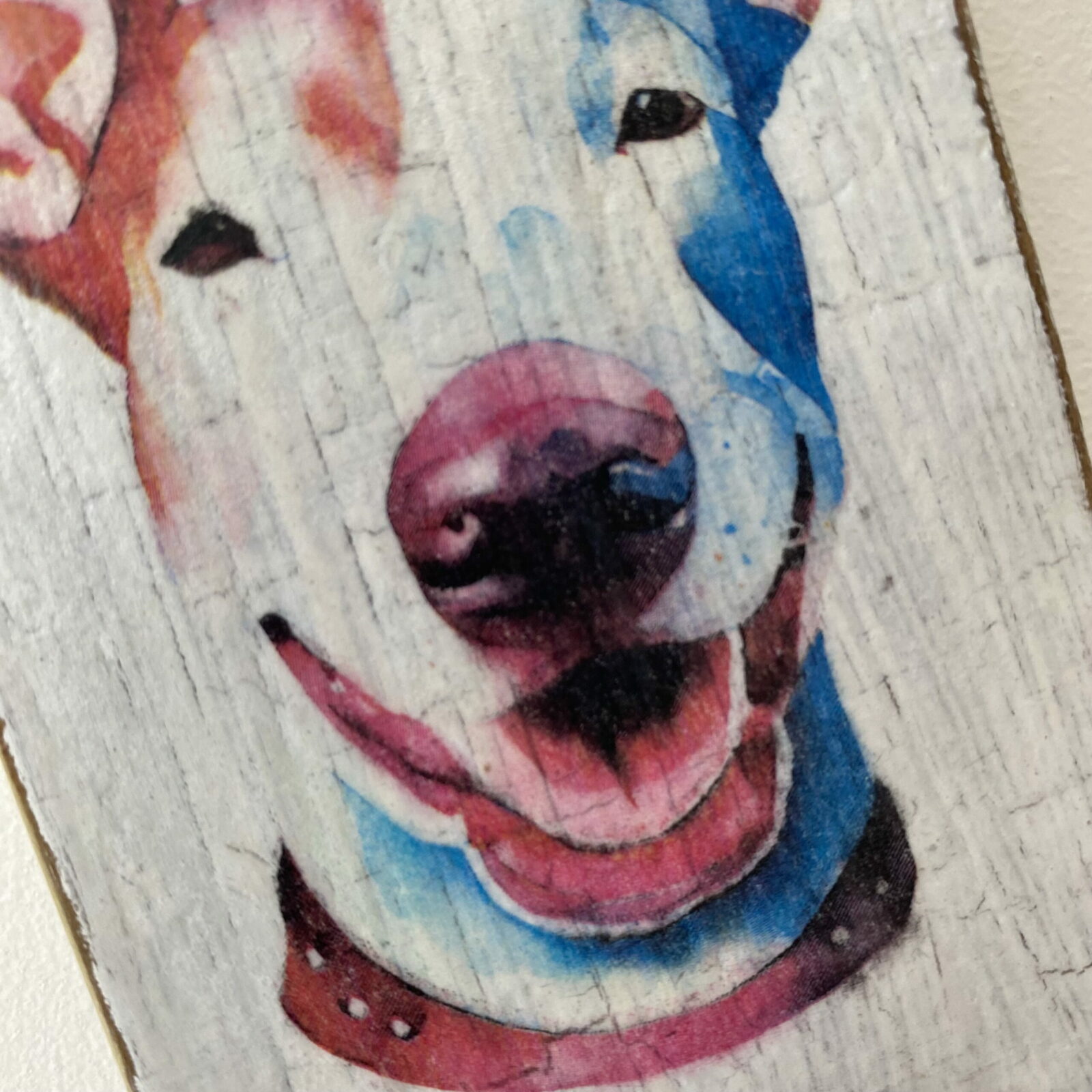 Water Colour Paint Effect Plaque - Dog Breeds - Bull Terrier - Image 5