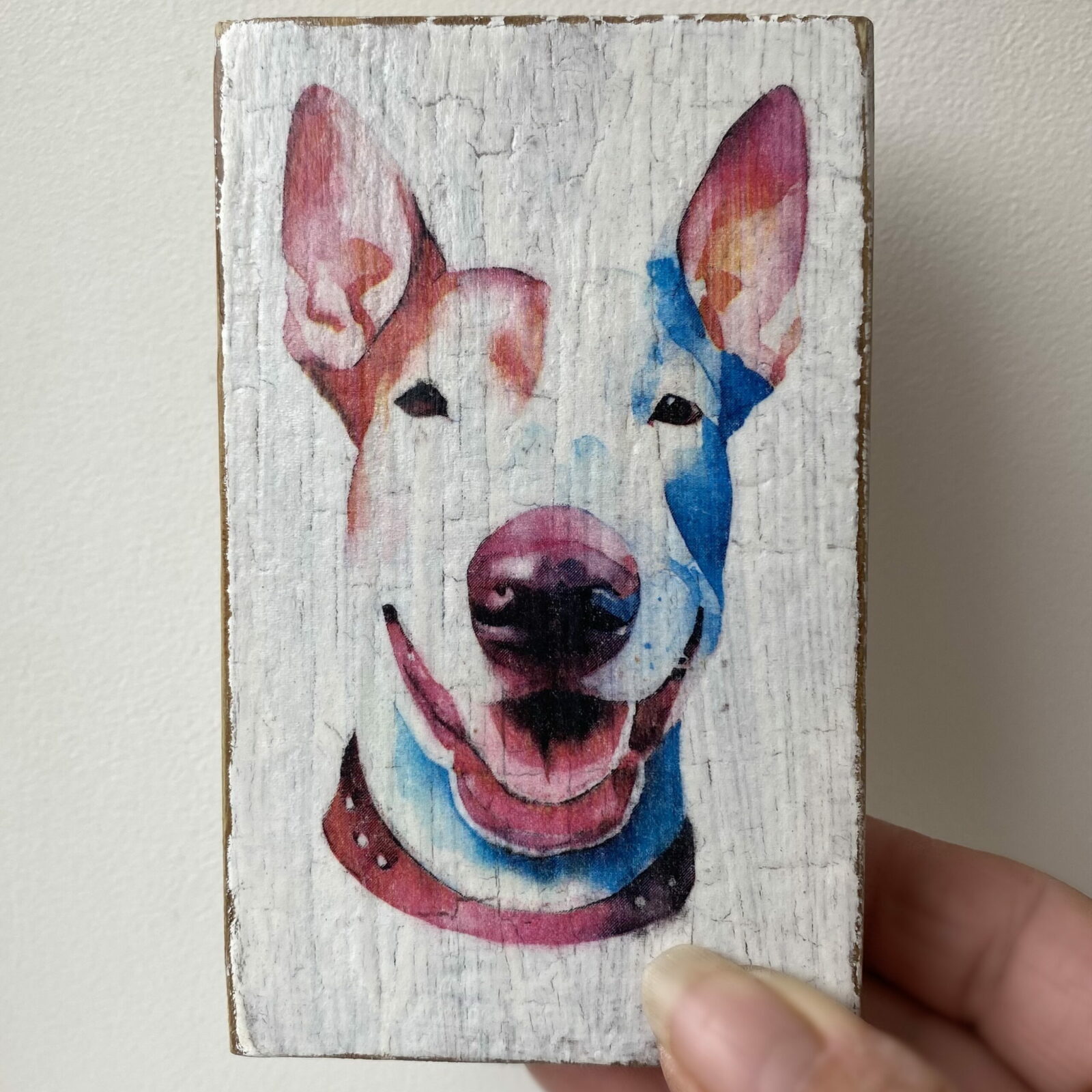 Water Colour Paint Effect Plaque - Dog Breeds - Bull Terrier - Image 4