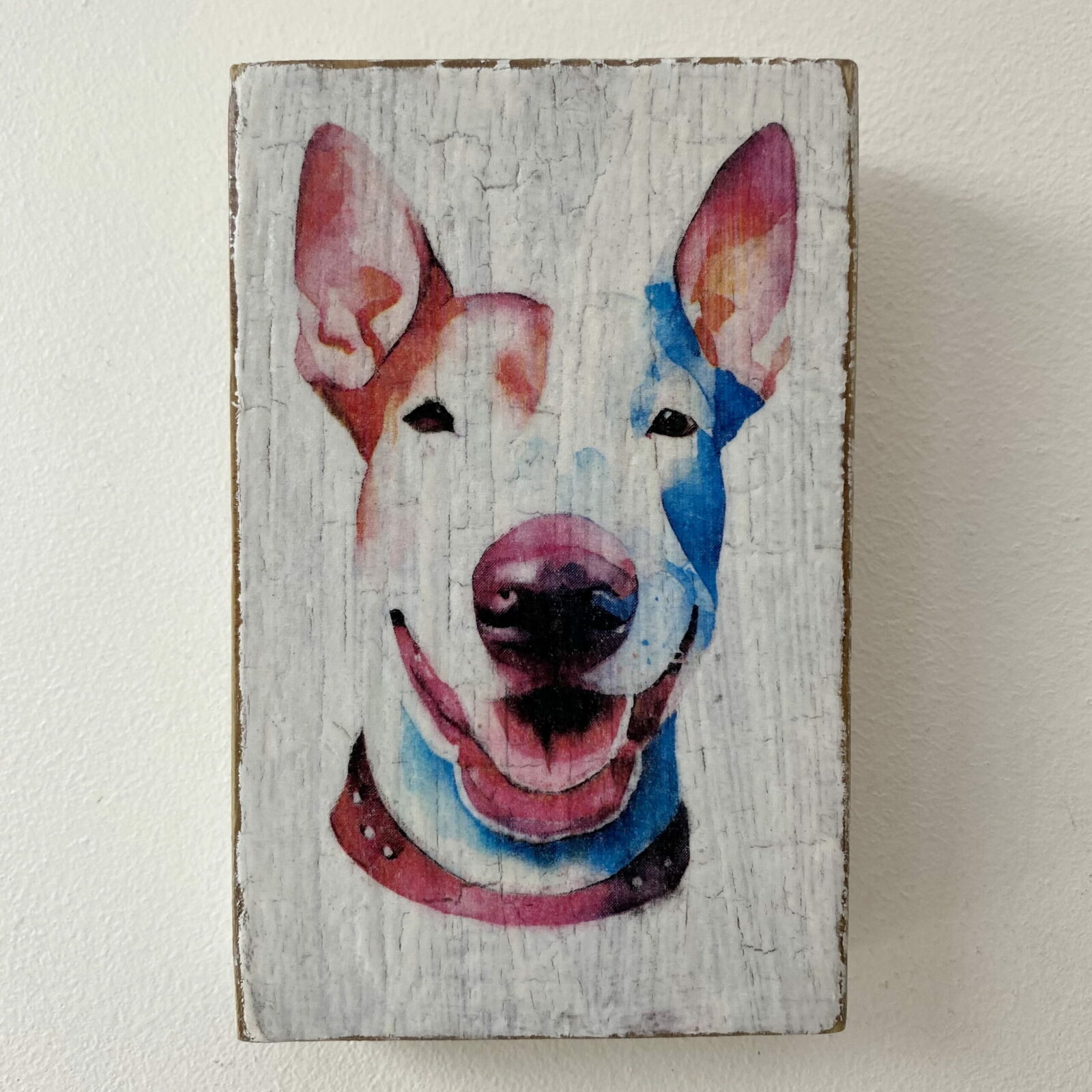 Water Colour Paint Effect Plaque - Dog Breeds - Bull Terrier