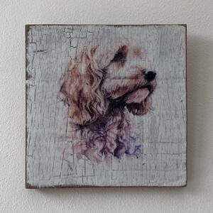 Water Colour Paint Effect Plaque - Dog Breeds - Cockapoo/Cavapoo