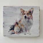 Water Colour Paint Effect Plaque - Dog Breeds - Corgi