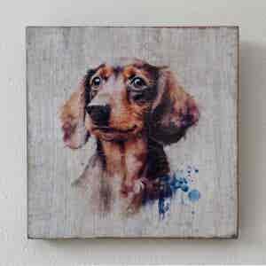 Water Colour Paint Effect Plaque - Dog Breeds - Dachshund