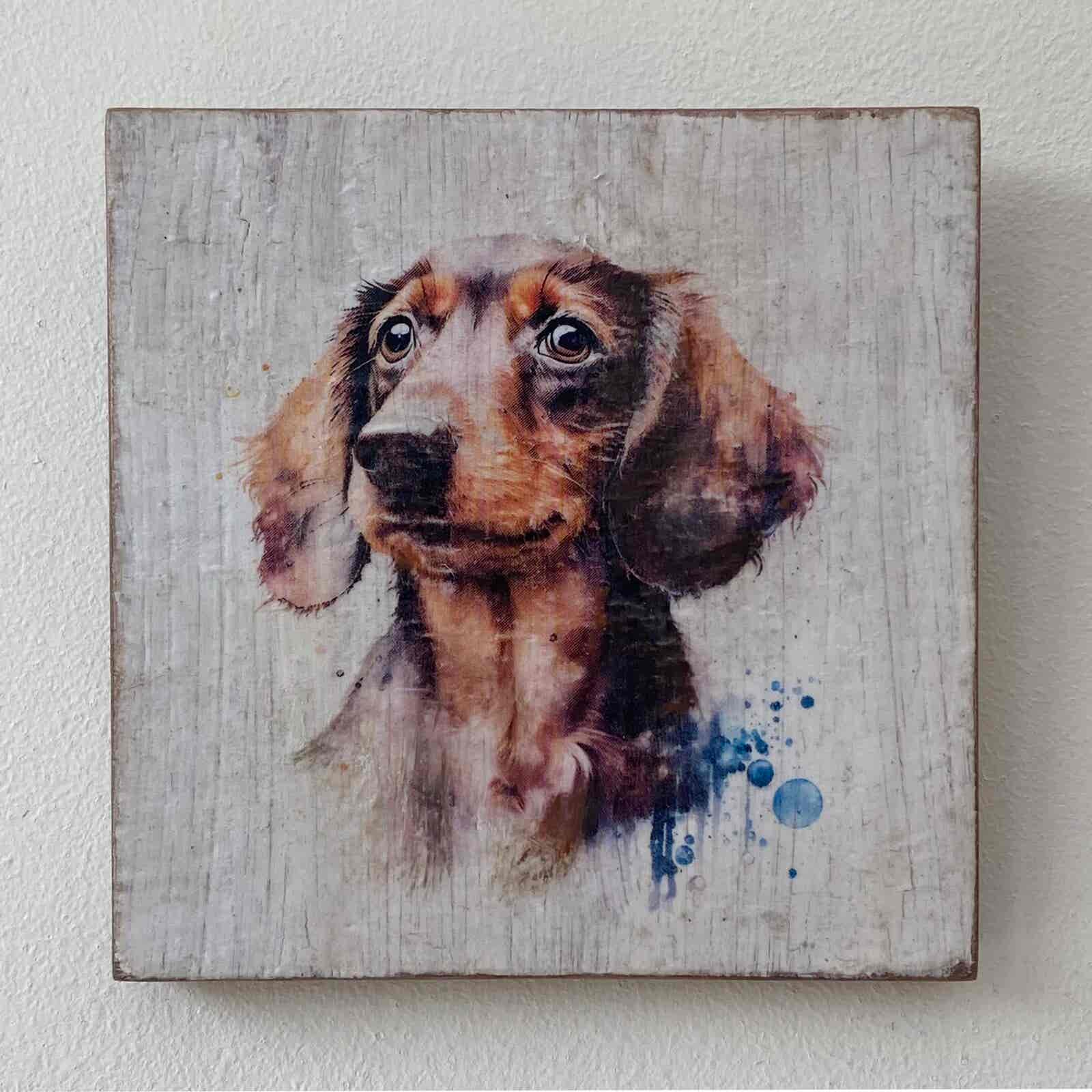 Water Colour Paint Effect Plaque - Dog Breeds - Dachshund