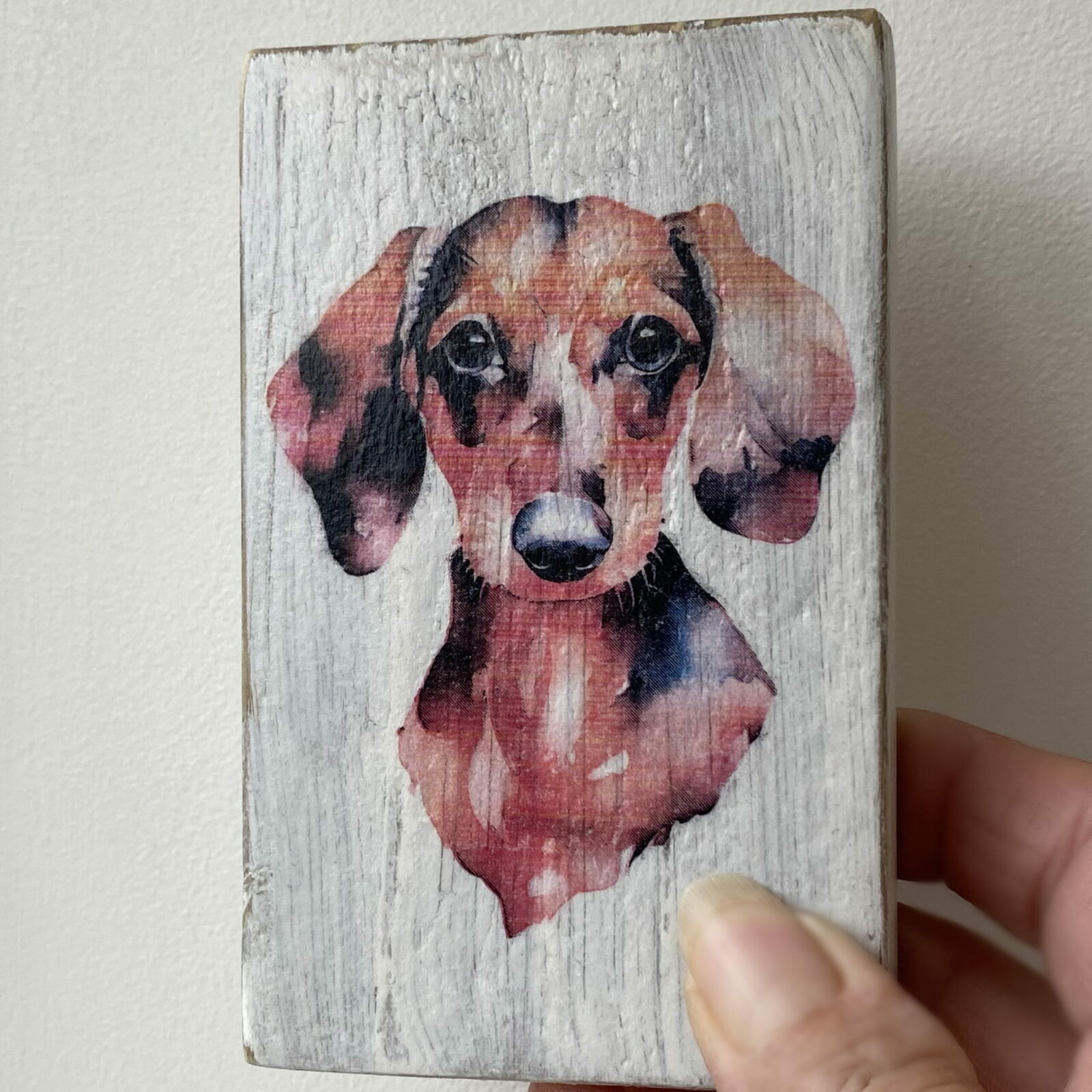Water Colour Paint Effect Plaque - Dog Breeds - Dachshund 2 - Image 4
