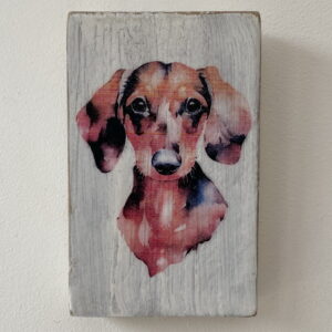 Water Colour Paint Effect Plaque - Dog Breeds - Dachshund 2