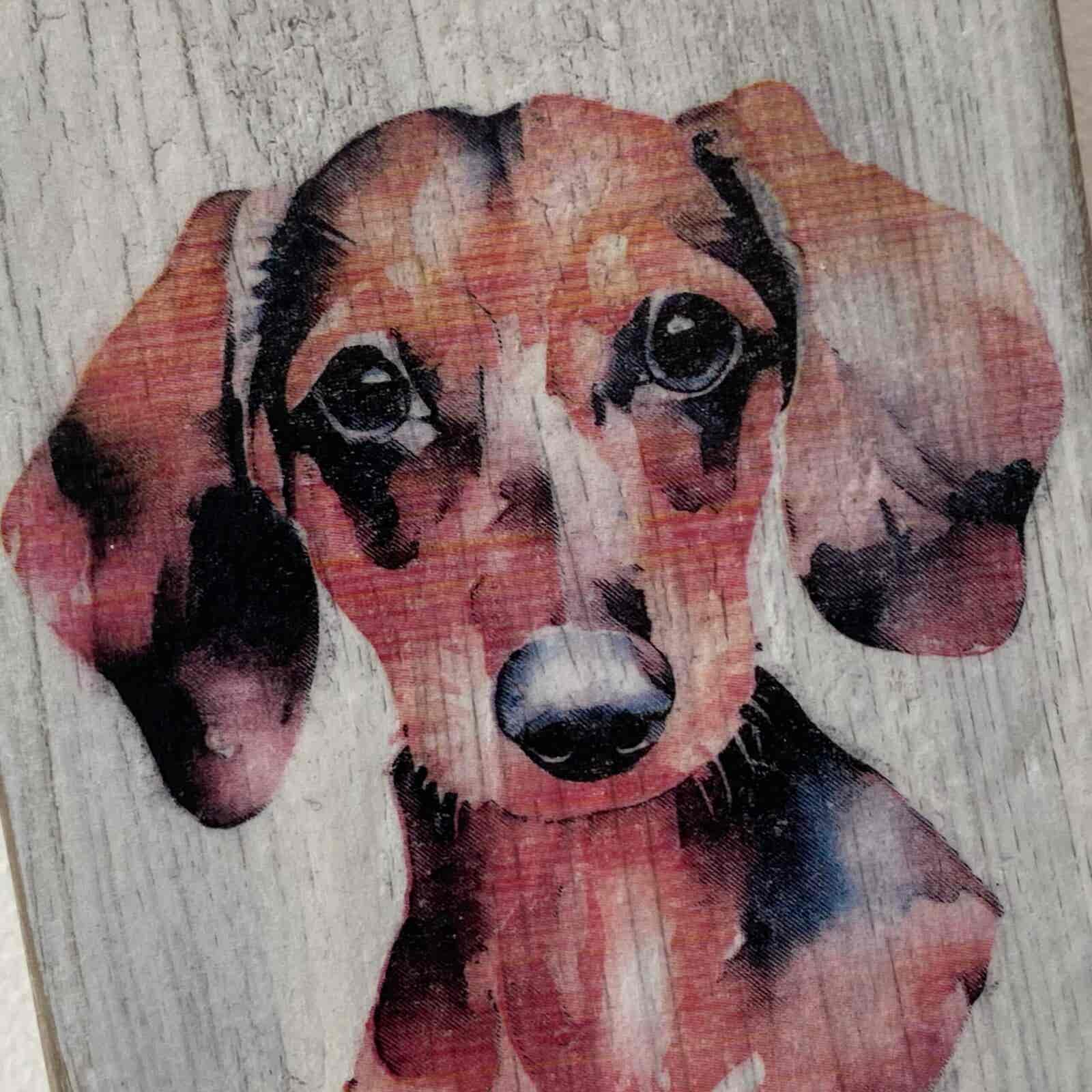 Water Colour Paint Effect Plaque - Dog Breeds - Dachshund 2 - Image 5