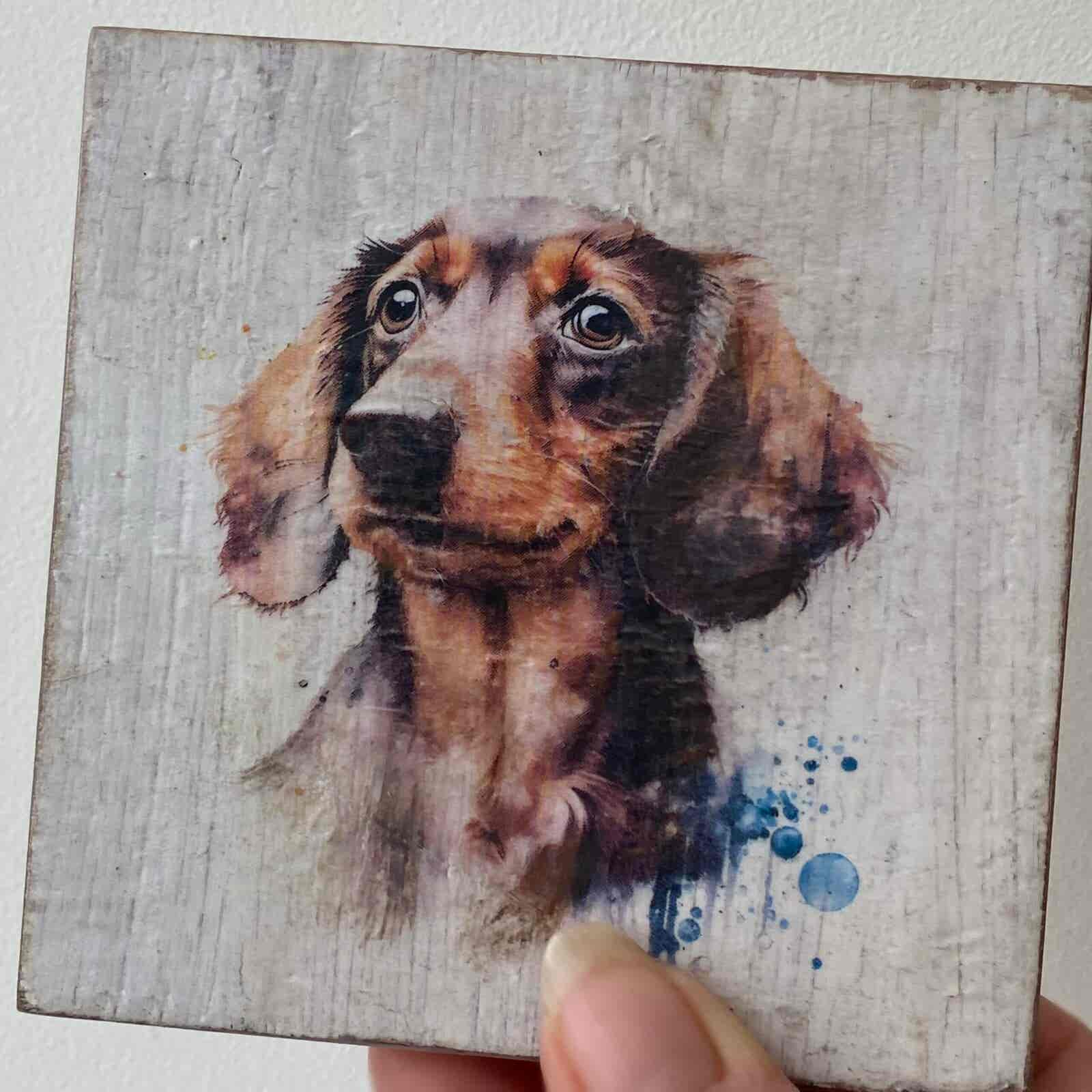 Water Colour Paint Effect Plaque - Dog Breeds - Dachshund - Image 4