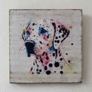 Water Colour Paint Effect Plaque - Dog Breeds - Dalmatian