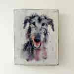 Water Colour Paint Effect Plaque - Dog Breeds - Deerhound