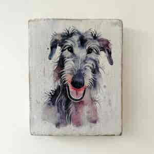 Water Colour Paint Effect Plaque - Dog Breeds - Deerhound