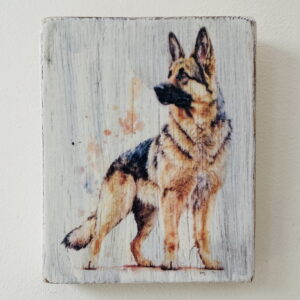 Water Colour Paint Effect Plaque - Dog Breeds - German Shepherd