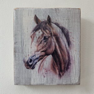 Water Colour Paint Effect Plaque - Horse Head