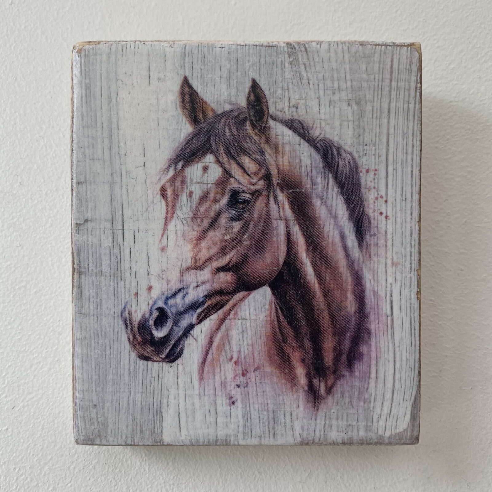 Water Colour Paint Effect Plaque - Horse Head