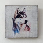 Water Colour Paint Effect Plaque - Dog Breeds - Husky