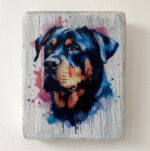 Water Colour Paint Effect Plaque - Dog Breeds - Rottweiler