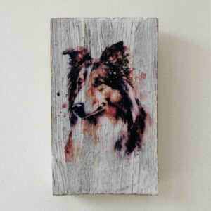 Water Colour Paint Effect Plaque - Dog Breeds - Rough Collie
