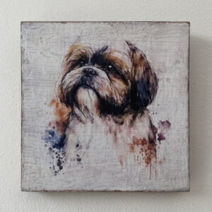 Water Colour Paint Effect Plaque - Dog Breeds - Shih Tzu