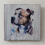 Water Colour Paint Effect Plaque - Dog Breeds - Staffordshire Bull Terrier