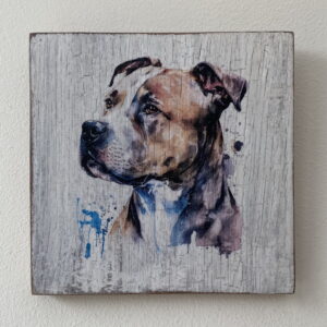 Water Colour Paint Effect Plaque - Dog Breeds - Staffordshire Bull Terrier