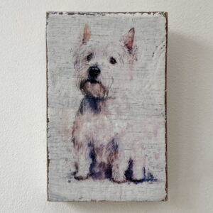 Water Colour Paint Effect Plaque - Dog Breeds - West Highland Terrier