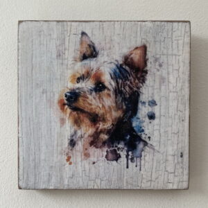 Water Colour Paint Effect Plaque - Dog Breeds - Yorkshire Terrier